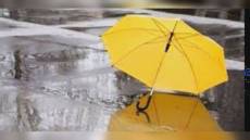 Genova, allerta gialla sino alle 21: i comportamenti da tenere