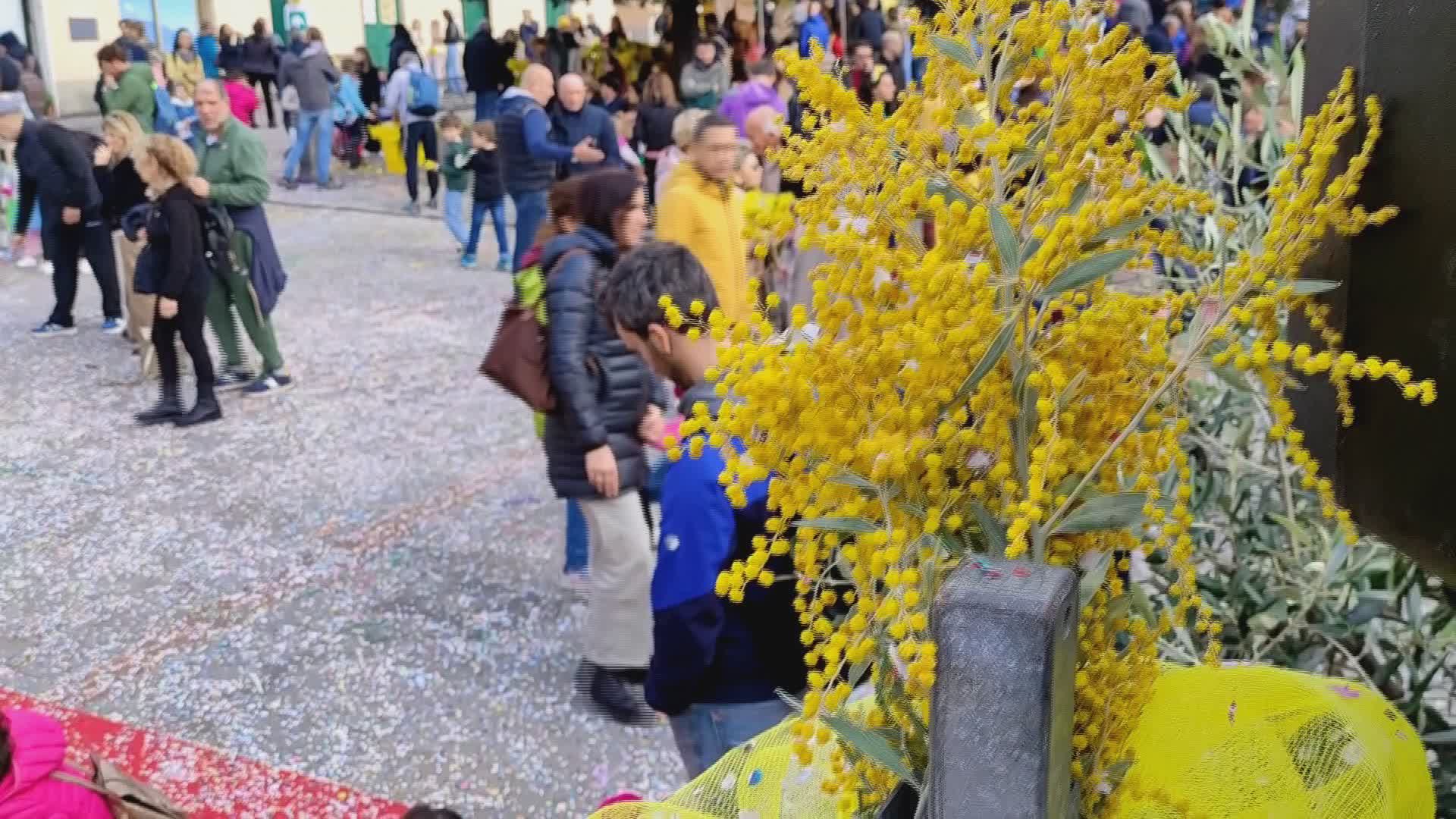 Pieve Ligure, grande successo per la 65° Sagra della Mimosa