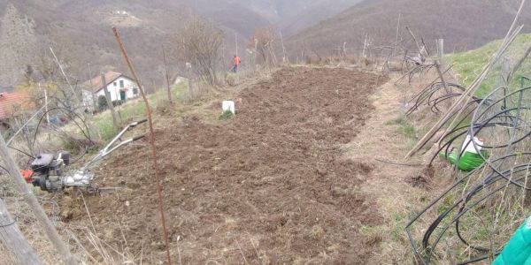 La protesta dei trattori: cosa può essere risolto, oggi, in Liguria?