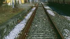 Imperia: donna e il suo cane muoiono investiti da un treno