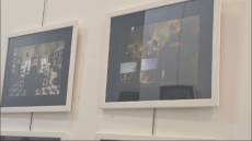 Genova, le 'botteghe storiche' nelle foto d'autore: premiati gli scatti dell'antica erboristeria Sant'Anna