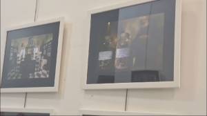 Genova, le 'botteghe storiche' nelle foto d'autore: premiati gli scatti dell'antica erboristeria Sant'Anna