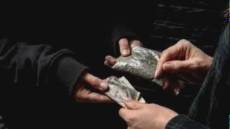 Savona, operazione antidroga che coinvolge anche Genova, Messina e Vercelli: 13 arresti e 15 divieti di dimora