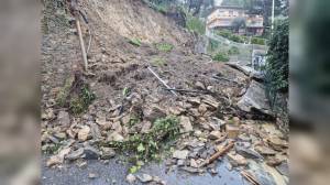 Pieve Ligure, muraglione crolla in via Roma. Sindaco Negro: "Domani scuole chiuse"