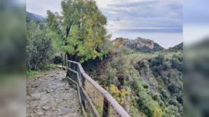 Liguria: 9,4 milioni dalla Regione per ripristino muretti a secco