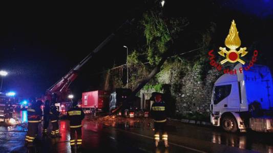 Maltempo: Genova, caduti due grossi alberi a Campi e Sestri Ponente