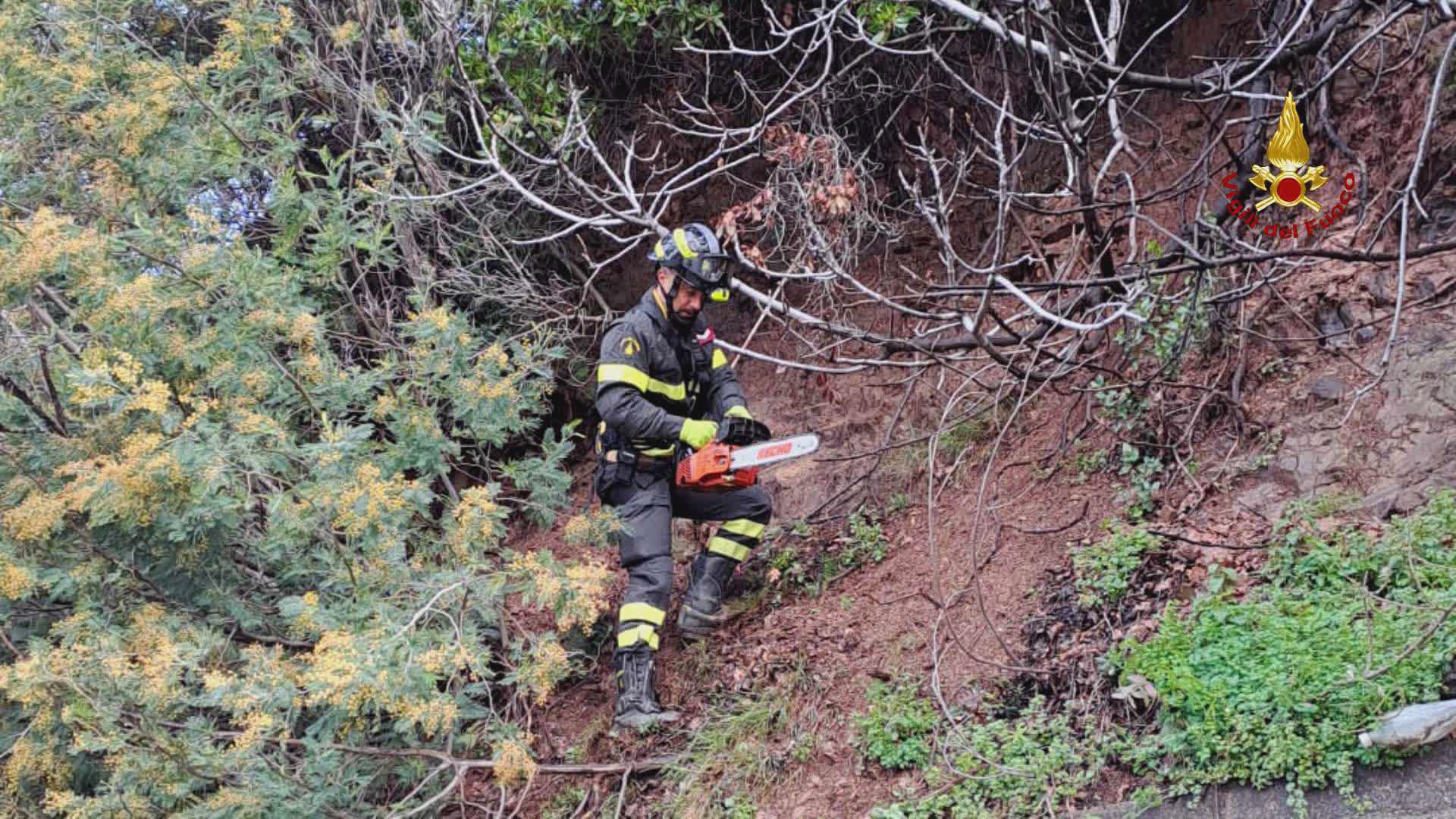 Genova, smottamento a Borzoli: i vigili del fuoco tagliano alberi per evitare che cadano