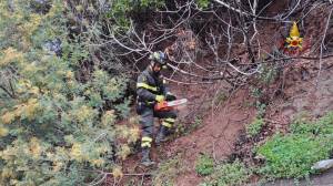 Genova, smottamento a Borzoli: i vigili del fuoco tagliano alberi per evitare che cadano