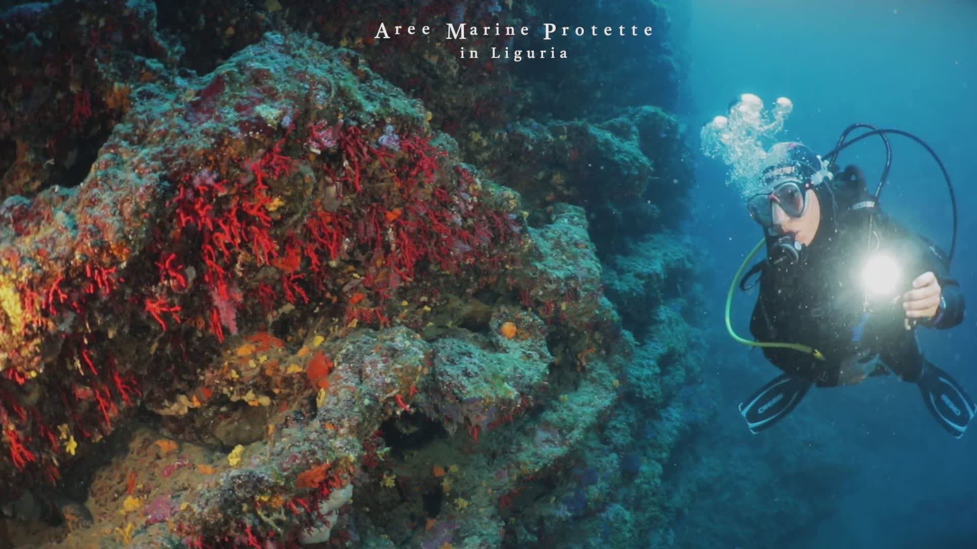 L'Acquario di Genova si arricchisce di un nuovo spazio dedicato alle aree marine protette della Liguria
