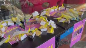 8 marzo a Genova, assessore Ferro: "La libertà delle donne dipende anche dall'indipendenza economica"