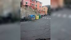 Genova: un lupo avvistato ad Apparizione