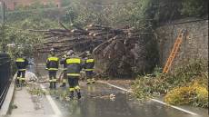 Maltempo: Liguria, Aurelia di Ponente chiusa a Finale e Noli per frane