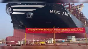 Genova, al terminal Sech di Psa arriva la Msc Anita: nave da 16mila teu, è la più grande portacontainer arrivata a Calata Sanità
