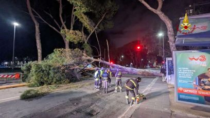 Genova: albero cade davanti a stazione Brignole e trancia cavi del filobus