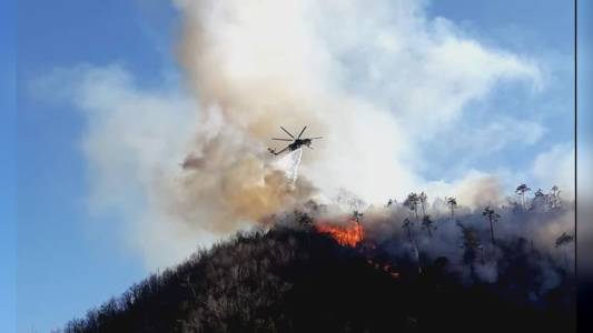 Cogoleto, incendio 2019: Comune chiede 2 milioni a Enel per 85 ettari di bosco finiti in cenere