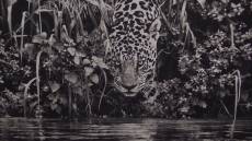 A Genova la mostra 'Aqua Mater' di Salgado: 42 foto per riflettere sulla crisi idrica del pianeta
