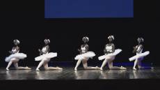 Città Metropolitana di Genova, celebra la Giornata internazionale per l'eliminazione del razzismo con la danza e un confronto sul tema