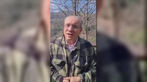 Toirano, lupo entra in una casa, Bruzzone (Lega): "Siamo alla sudditanza, serve una legge sui grandi predatori"