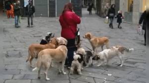 Liguria, cani abbandonati, Viale (Lega): "Vaccini gratis per chi adotta un ospite dei canili"