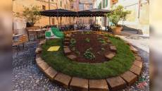 Liguria, florovivaistica: al via "Fior d'Albenga", in mostra il meglio della produzione regionale