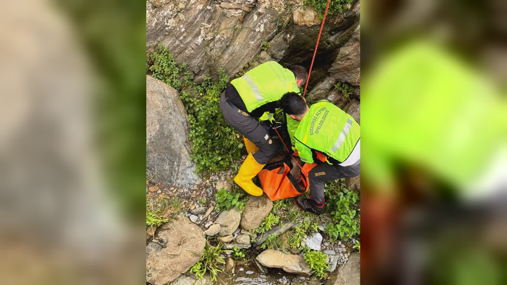 Vernazza, capriolo ferito rimane intrappolato vicino a un torrente: recuperato dal Soccorso Alpino
