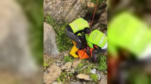 Vernazza, capriolo ferito rimane intrappolato vicino a un torrente: recuperato dal Soccorso Alpino