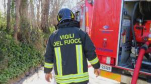 Pieve di Teco, il vento forte fa cadere un albero su un'auto in transito: nessun ferito