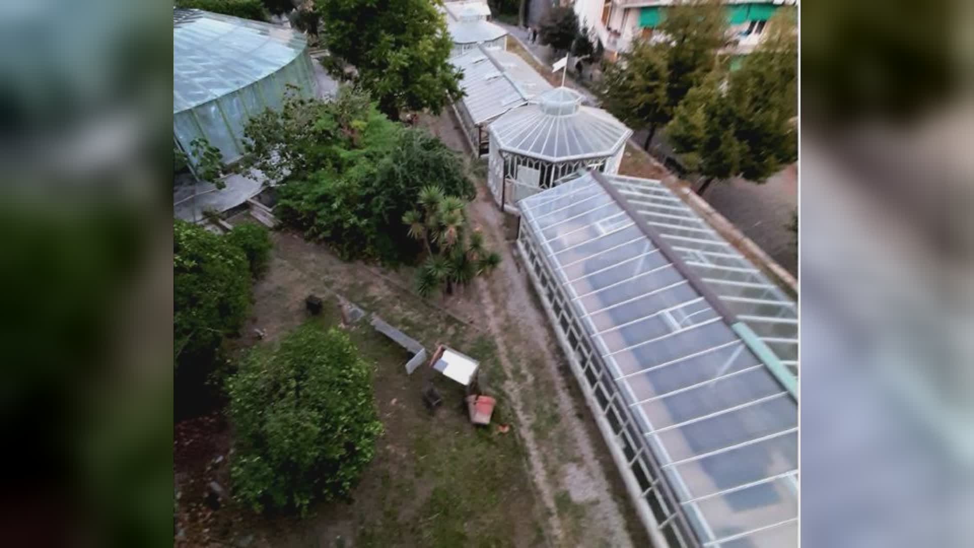 Genova, via libera del Comune per il restauro dell'orto botanico Clelia Durazzo Pallavicini di Pegli