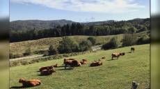 Savona, energia pulita: Legambiente organizza per il "Green Day" visita guidata all'impianto eolico di Stella