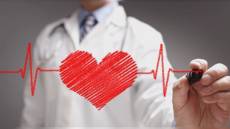 Colesterolo. dal convegno di Alisa nuove strategie per ridurre infarti ed eventi cardiovascolari