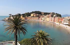 Il produttore: "Un litro d'olio della riviera di levante? Deve costare 30 euro"