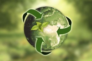 Planet Week: Pichetto, da biocarburanti sostenibili contributo fondamentale a decarbonizzazione