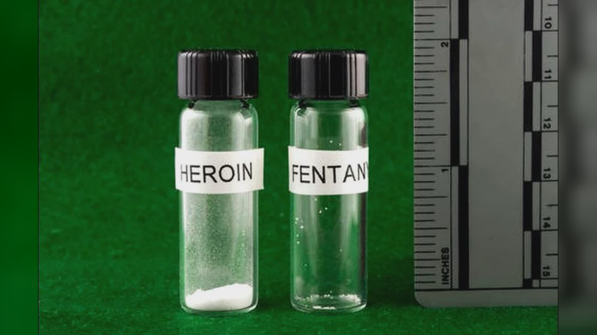 Droga, Matteo Bassetti: "Fentanyl un killer, uccide più di eroina e morfina, in America già 100mila morti"