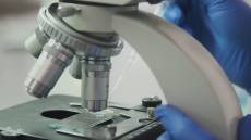 Tumore all'ovaio, in Liguria 150 nuove diagnosi ogni anno