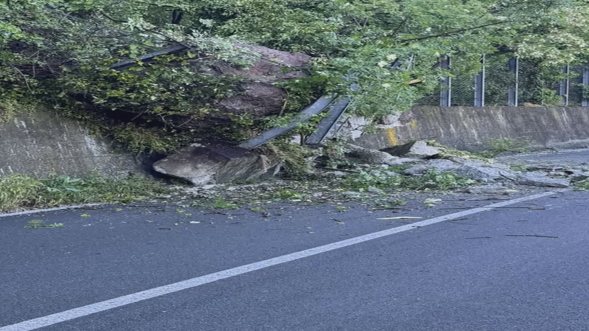 Castiglione Chiavarese, riaperta a senso unico alternato la Statale 523