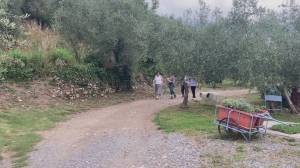Donne in campo, in Liguria sono 3000 le imprese agricole a conduzione femminile