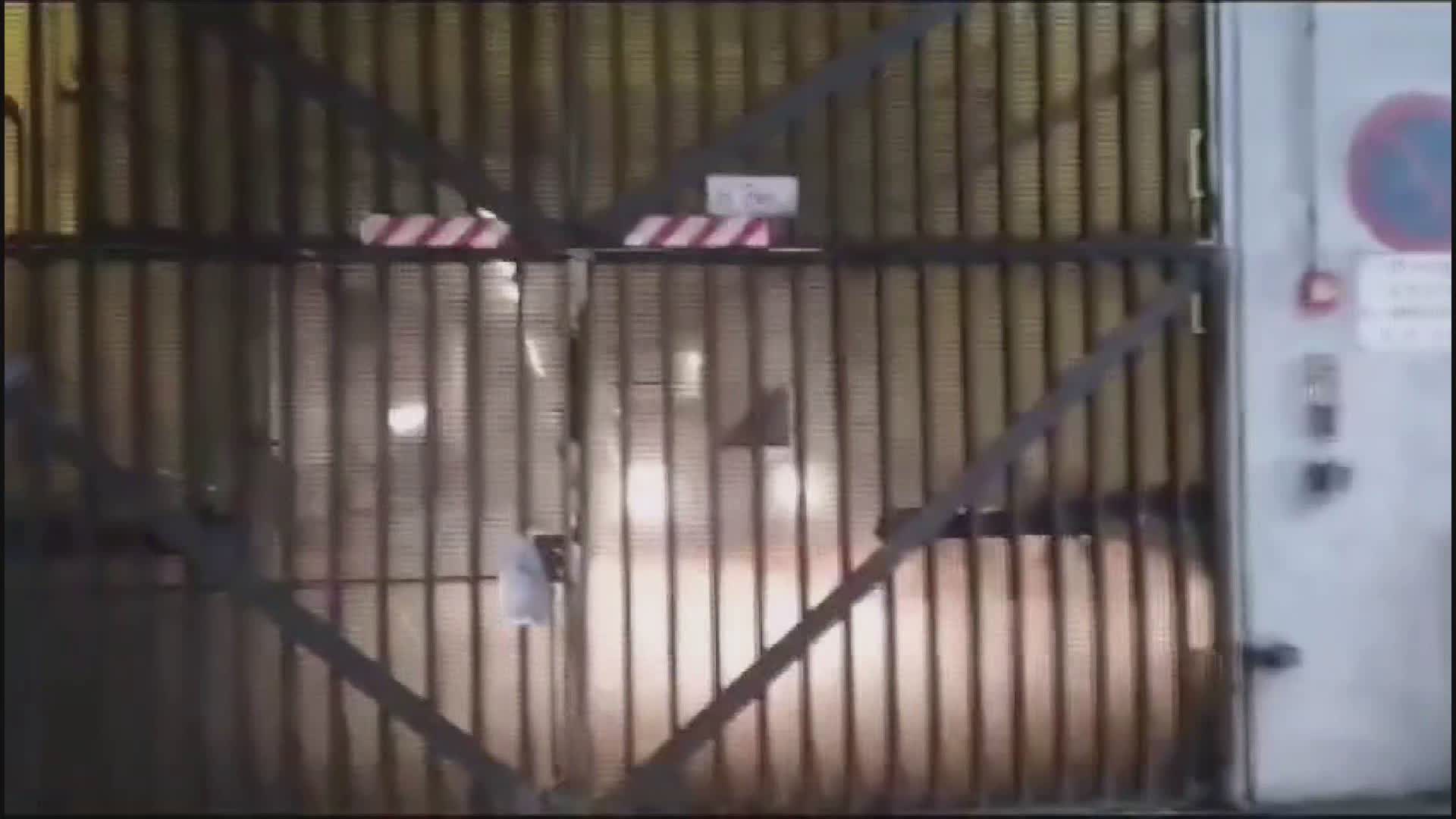 L'auto di Toti fa retromarcia, dribbla i cronisti e lascia il tribunale (video)