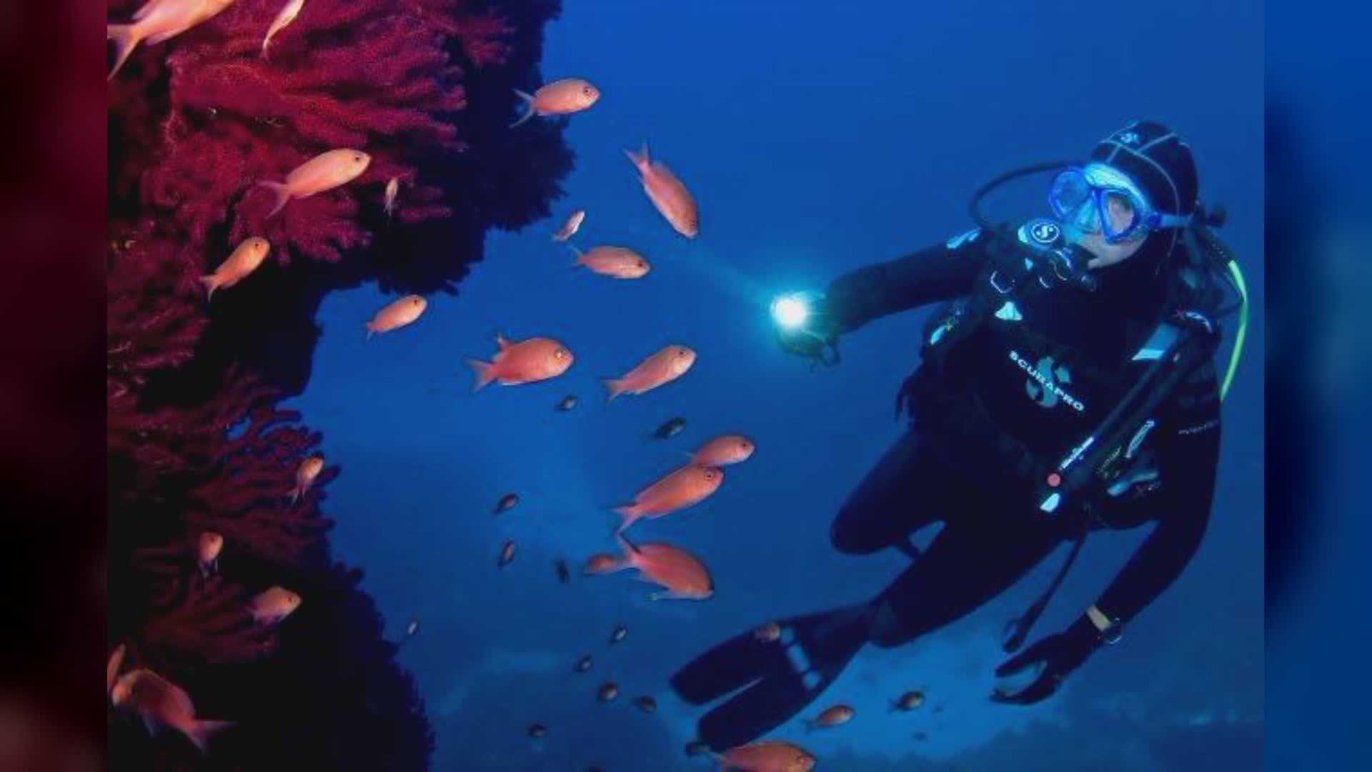 Cinque Terre, nasce il progetto "Sentinelle del Mare" che coinvolgerà turisti e residenti