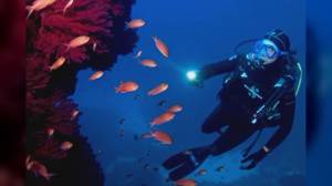 Cinque Terre, nasce il progetto "Sentinelle del Mare" che coinvolgerà turisti e residenti