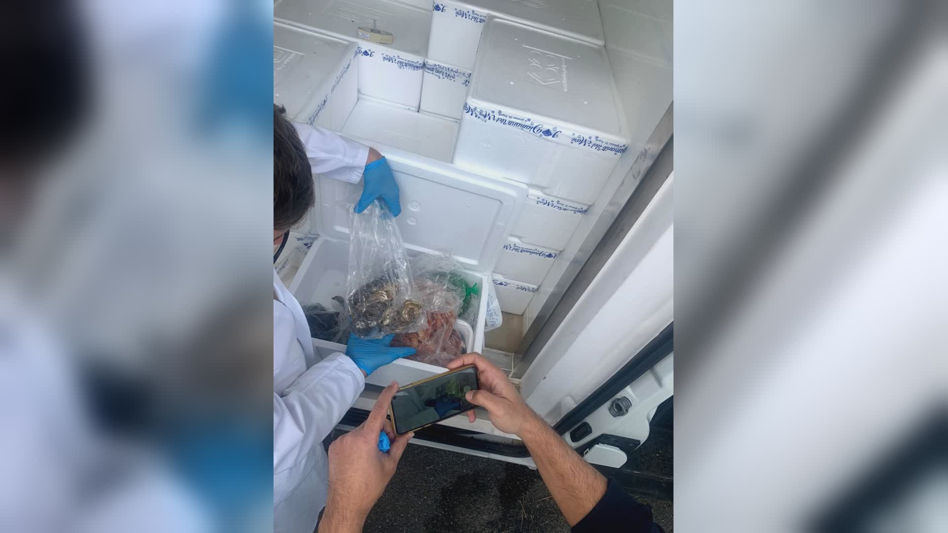 La Spezia, sequestrati due quintali di pesce e molluschi privi di certificazione
