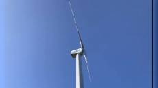 Ambiente: pale eoliche minacciano aquile, cicogne, gru e decine di altre specie