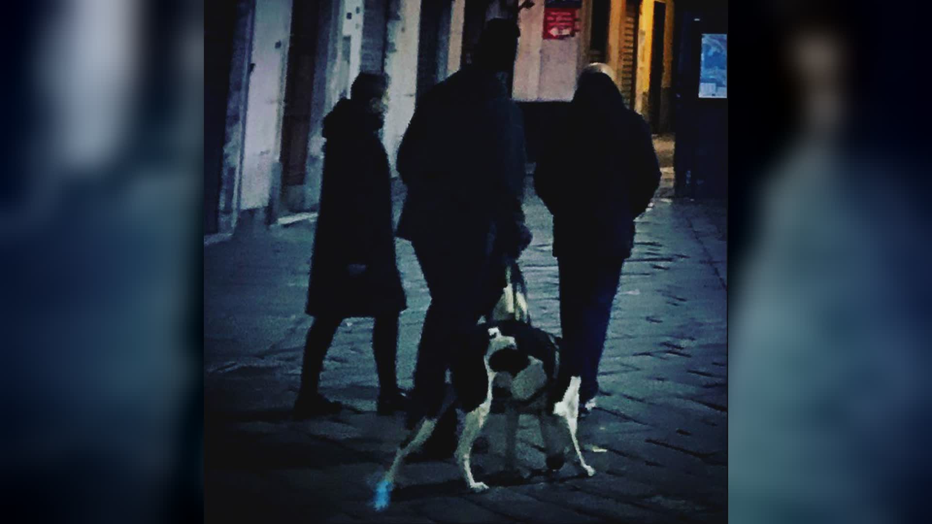 Genova, bimbo di 2 anni assalito da cane senza guinzaglio, Corso e Viale (Lega): "Subito patentino e adozioni consapevoli"