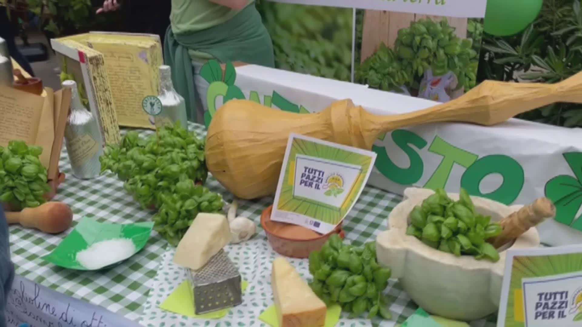 Genova, alla scuola Contubernio D’Albertis i bambini a lezione di pesto