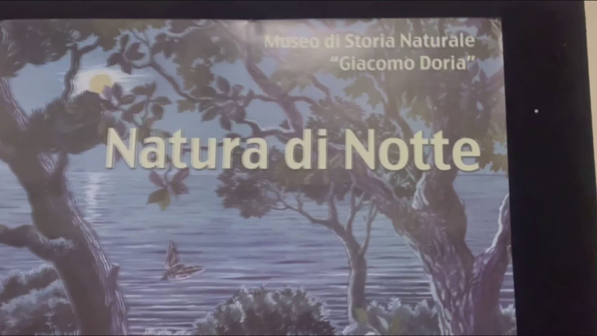 Genova, al Museo di Storia Naturale la mostra "Natura di Notte"