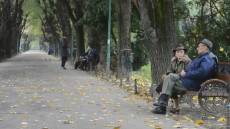Liguria, rinnovo bonus babysitter e badanti. Giampedrone: "Un aiuto concreto e reale alle famiglie"