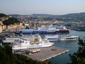 Porto Ancona: autorizzato a controlli su importazione prodotti d’origine non animale per consumo umano
