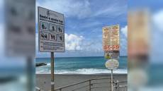 Sestri Levante, multe a chi porta il cane a spasso senza bottigliette d'acqua e sacchetti