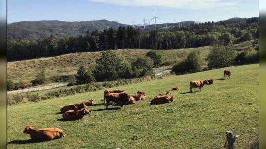 Liguria, entroterra: 1 milione per zone montane e piccoli comuni