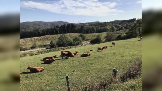 Liguria scelta dall'Unione Europea tra le "valli dell'innovazione"