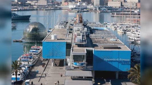 Genova, sciopero all'Acquario. Sindacati: "Proposte irricevibili". Società: "Stupiti, pronti al dialogo"